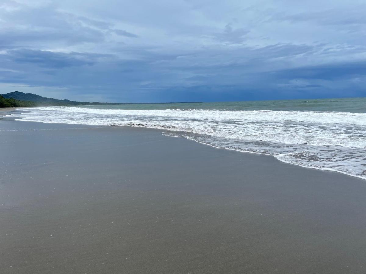 Perla Negra Beachfront Puerto Viejo de Talamanca Exteriör bild