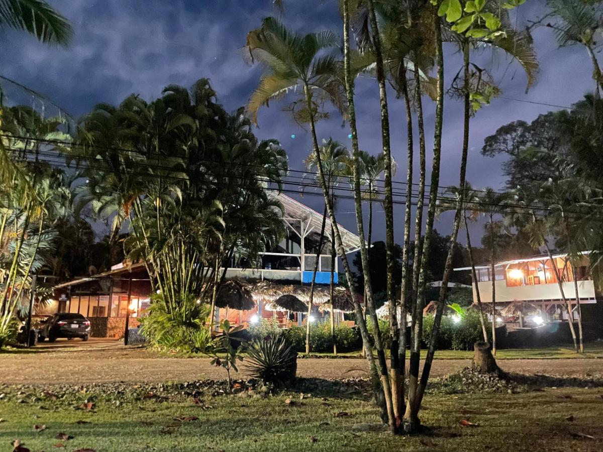 Perla Negra Beachfront Puerto Viejo de Talamanca Exteriör bild