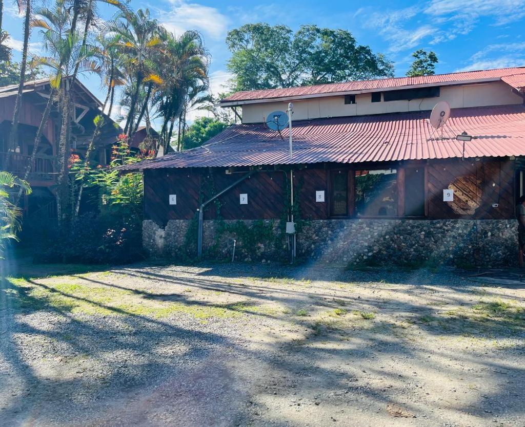 Perla Negra Beachfront Puerto Viejo de Talamanca Exteriör bild