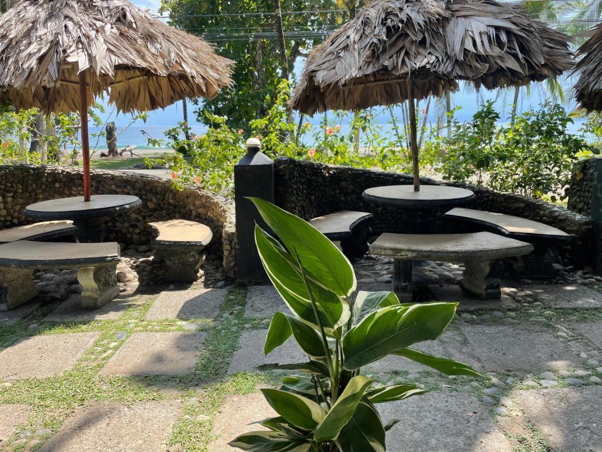 Perla Negra Beachfront Puerto Viejo de Talamanca Exteriör bild
