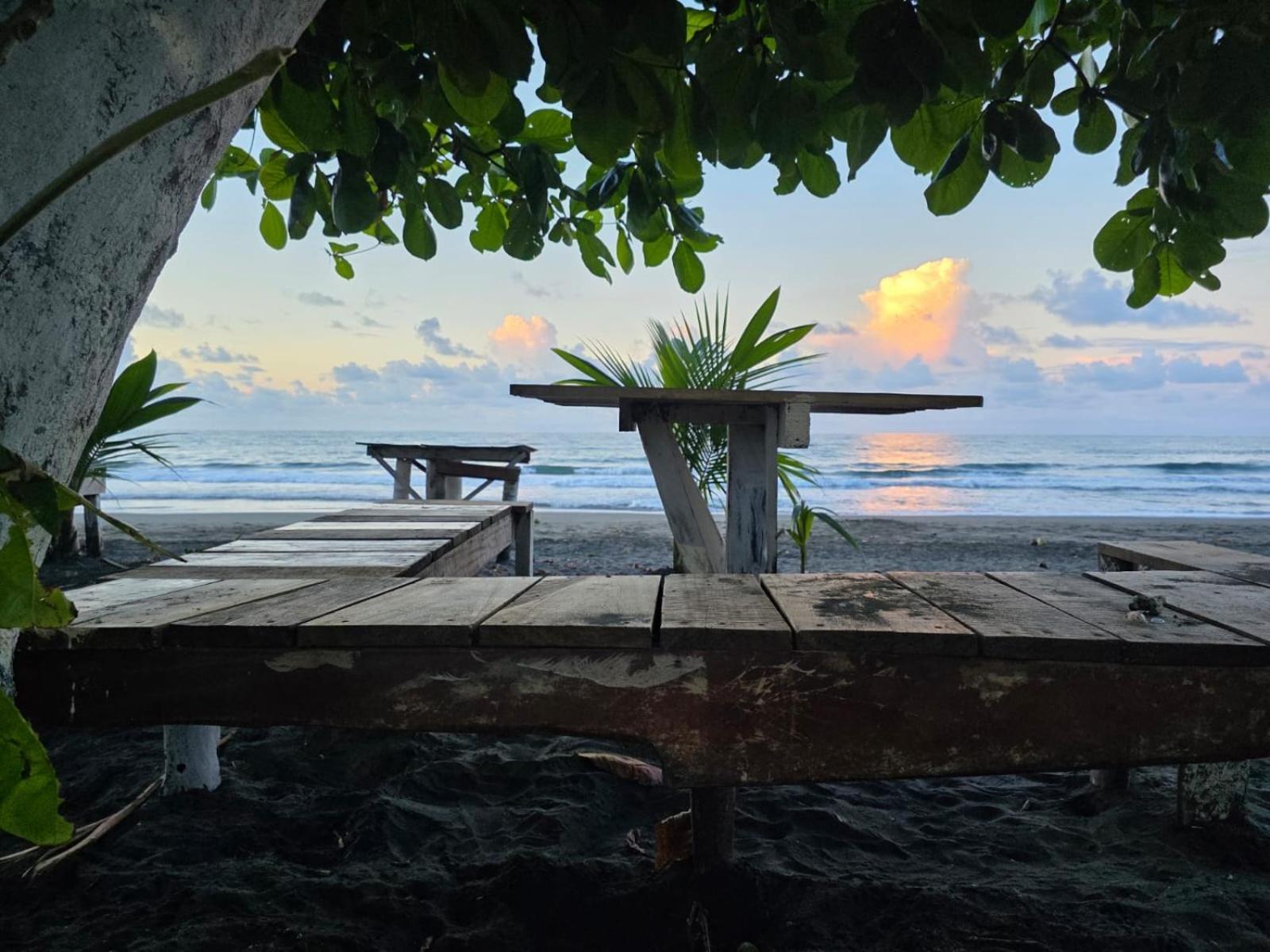 Perla Negra Beachfront Puerto Viejo de Talamanca Exteriör bild